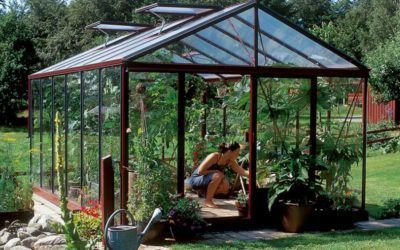 Cultivar en Invernaderos de cristal, la mejor solución