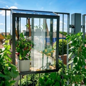 Juliana Balcony