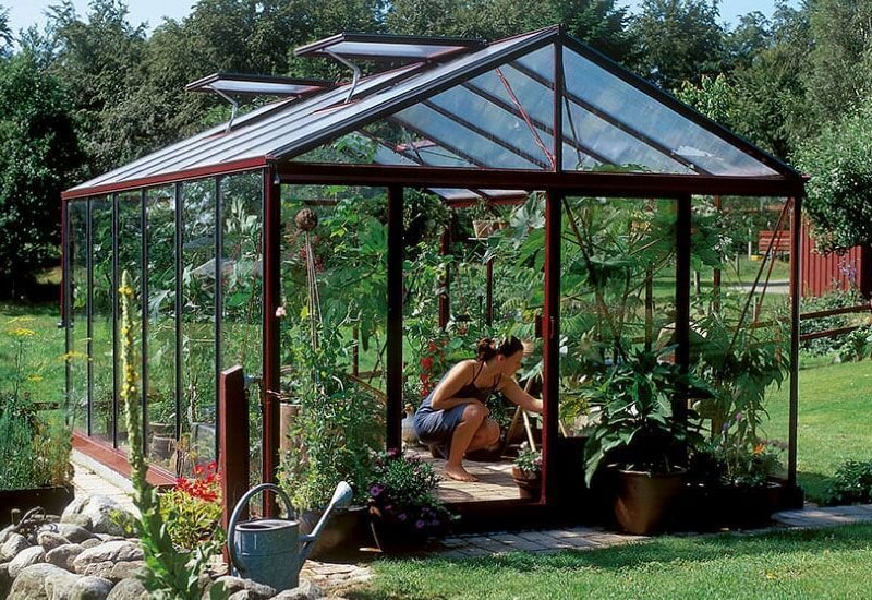Cultivar en Invernaderos de cristal, la mejor solución